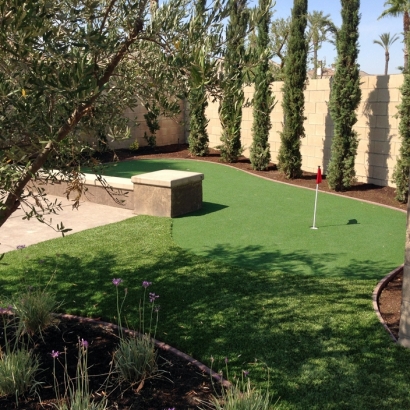 Grass Turf Arboles, Colorado Diy Putting Green, Backyard Landscaping Ideas