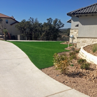 Grass Turf Brighton, Colorado Landscaping, Front Yard Ideas