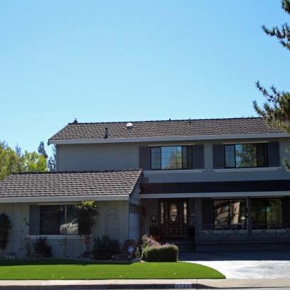 Grass Turf Cascade-Chipita Park, Colorado Gardeners, Front Yard Ideas