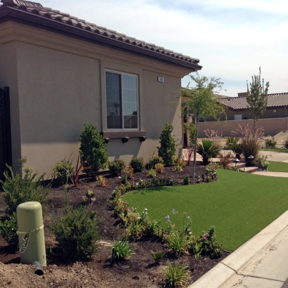 Grass Turf Colorado City, Colorado Rooftop, Landscaping Ideas For Front Yard