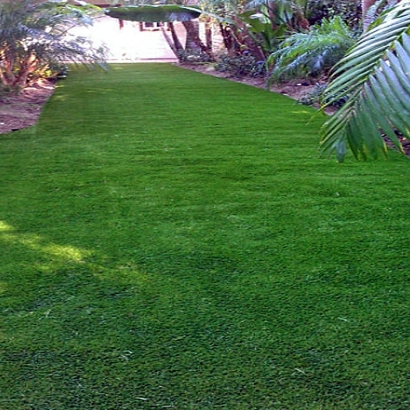 Grass Turf Red Cliff, Colorado Backyard Playground, Backyards