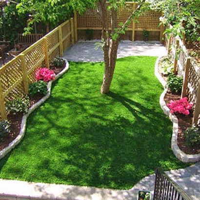 Grass Turf Segundo, Colorado Garden Ideas, Backyards