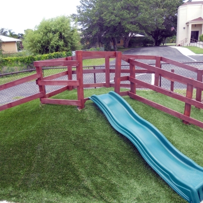 Green Lawn Bonanza, Colorado Rooftop, Commercial Landscape