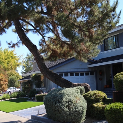 Green Lawn Woody Creek, Colorado Landscaping, Small Front Yard Landscaping