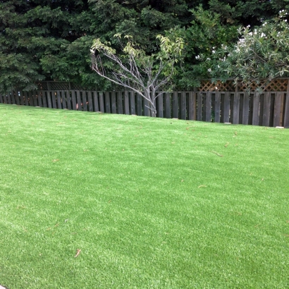 Installing Artificial Grass Federal Heights, Colorado Lawns, Backyard Landscaping Ideas