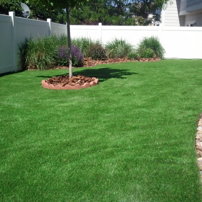 Installing Artificial Grass Highlands Ranch, Colorado Lawn And Garden, Backyard Ideas