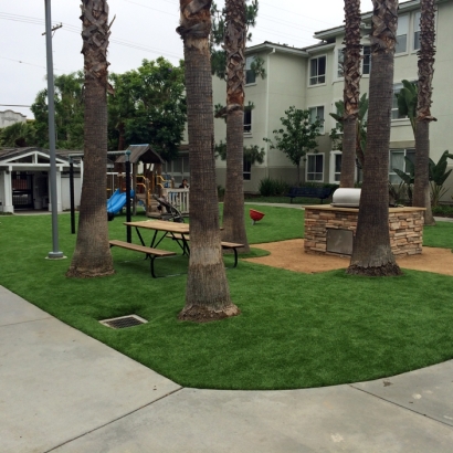 Installing Artificial Grass Pine Brook Hill, Colorado Rooftop, Commercial Landscape