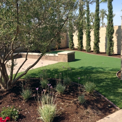 Lawn Services Allenspark, Colorado Landscape Ideas, Backyard Designs