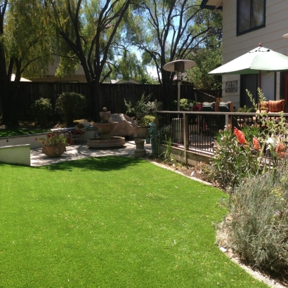 Outdoor Carpet Colorado Springs, Colorado Lawn And Garden, Backyard Landscape Ideas