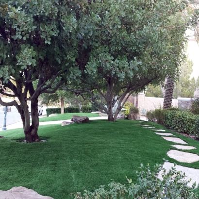 Outdoor Carpet Woody Creek, Colorado Garden Ideas, Front Yard Design