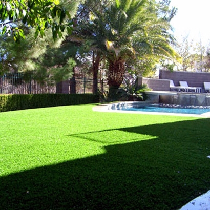 Plastic Grass Gilcrest, Colorado Landscape Photos, Backyard Landscaping