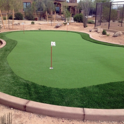 Plastic Grass Hooper, Colorado Best Indoor Putting Green, Backyard Landscape Ideas