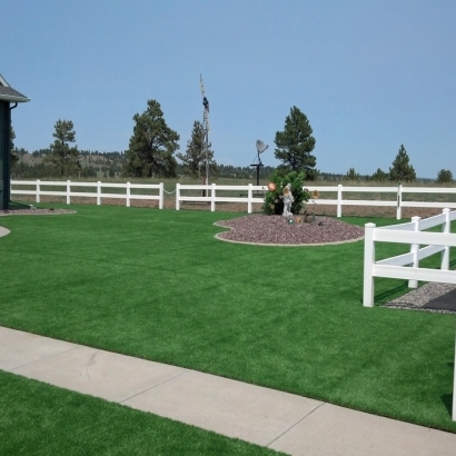 Plastic Grass Manzanola, Colorado Gardeners, Front Yard Landscape Ideas