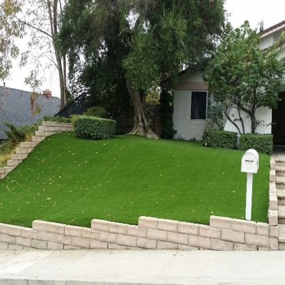 Plastic Grass Valdez, Colorado Gardeners, Small Front Yard Landscaping