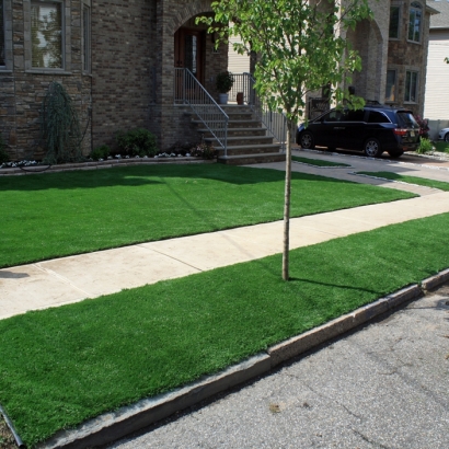 Synthetic Grass Coal Creek, Colorado Backyard Deck Ideas, Front Yard Landscaping Ideas