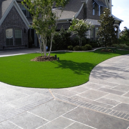 Synthetic Grass Cost Blanca, Colorado Rooftop, Front Yard Ideas