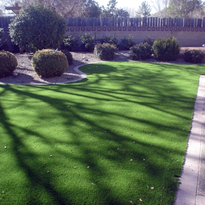 Synthetic Grass Cost Buena Vista, Colorado Rooftop, Front Yard