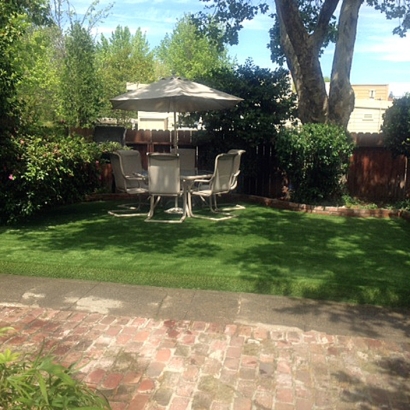 Synthetic Grass Cost Eldora, Colorado Lawn And Garden, Backyard Landscaping