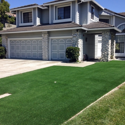 Synthetic Grass Cost Estes Park, Colorado Roof Top, Front Yard Design