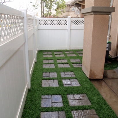 Synthetic Grass Cost Pitkin, Colorado Landscape Photos, Backyard Landscape Ideas