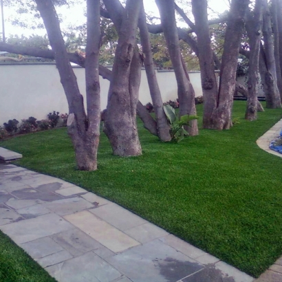 Synthetic Grass Cost Towner, Colorado City Landscape, Front Yard Design