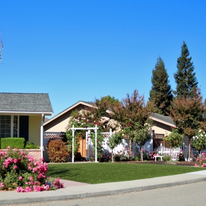 Synthetic Lawn Cherry Hills Village, Colorado Landscape Rock, Small Front Yard Landscaping