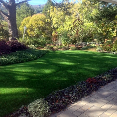 Synthetic Lawn Rollinsville, Colorado Paver Patio, Backyard Landscape Ideas