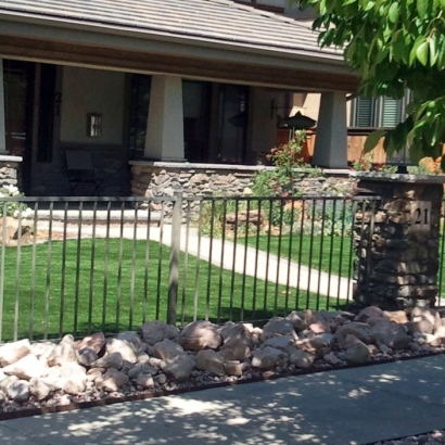 Synthetic Lawn Roxborough Park, Colorado Gardeners, Front Yard Design