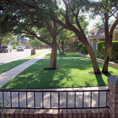 Synthetic Lawn Vineland, Colorado City Landscape, Front Yard Design