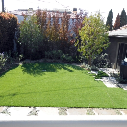 Synthetic Turf Craig, Colorado Garden Ideas, Small Backyard Ideas