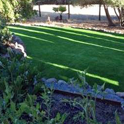 Synthetic Turf Hasty, Colorado Landscaping Business, Backyards