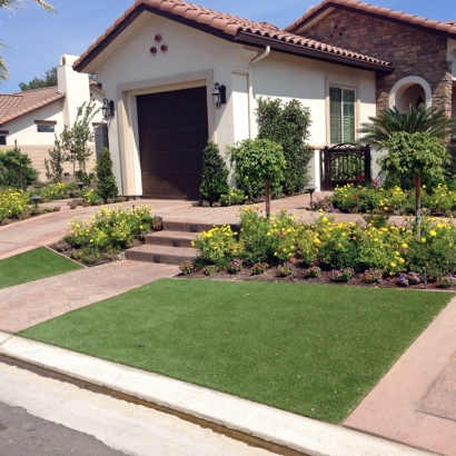 Synthetic Turf Lakewood, Colorado Backyard Playground, Front Yard Landscaping