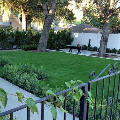 Synthetic Turf Minturn, Colorado Landscaping, Front Yard Landscaping