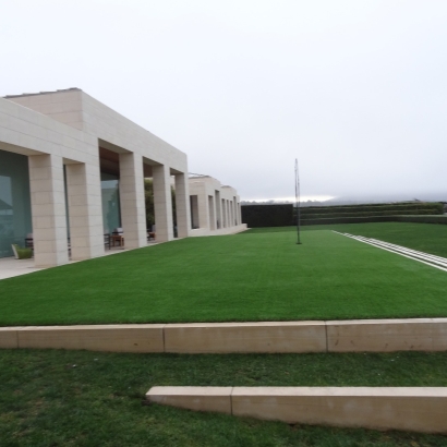 Synthetic Turf Supplier Aurora, Colorado Backyard Playground, Commercial Landscape