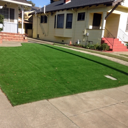 Synthetic Turf Supplier Granby, Colorado City Landscape, Front Yard Ideas