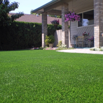 Synthetic Turf Supplier Lincoln Park, Colorado Design Ideas, Front Yard Design