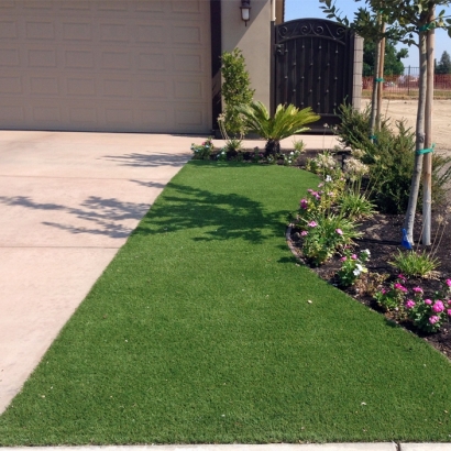 Synthetic Turf Supplier Ordway, Colorado Paver Patio, Front Yard Ideas