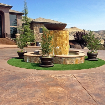 Turf Grass Arvada, Colorado City Landscape, Front Yard Landscaping Ideas