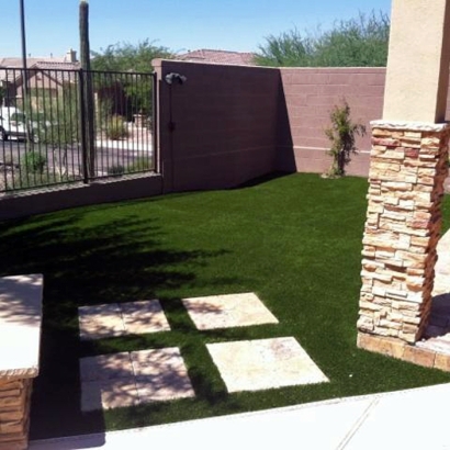 Turf Grass Black Forest, Colorado Gardeners, Backyards