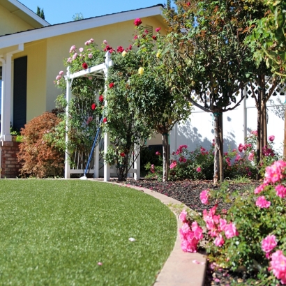 Turf Grass Kim, Colorado Lawn And Landscape, Front Yard Design