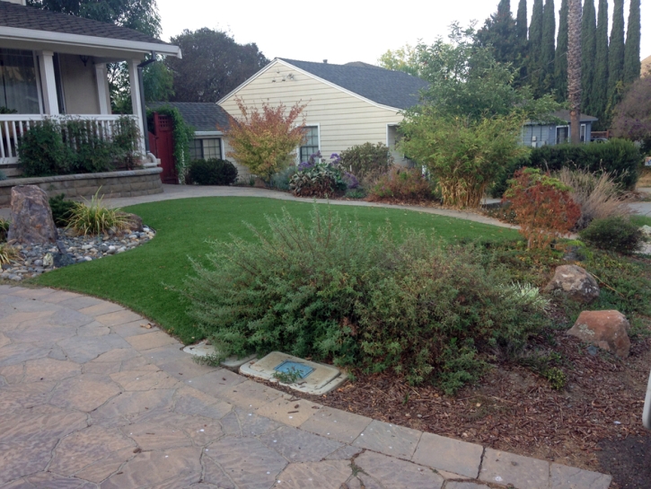 Artificial Grass Carpet Black Hawk, Colorado City Landscape, Small Front Yard Landscaping