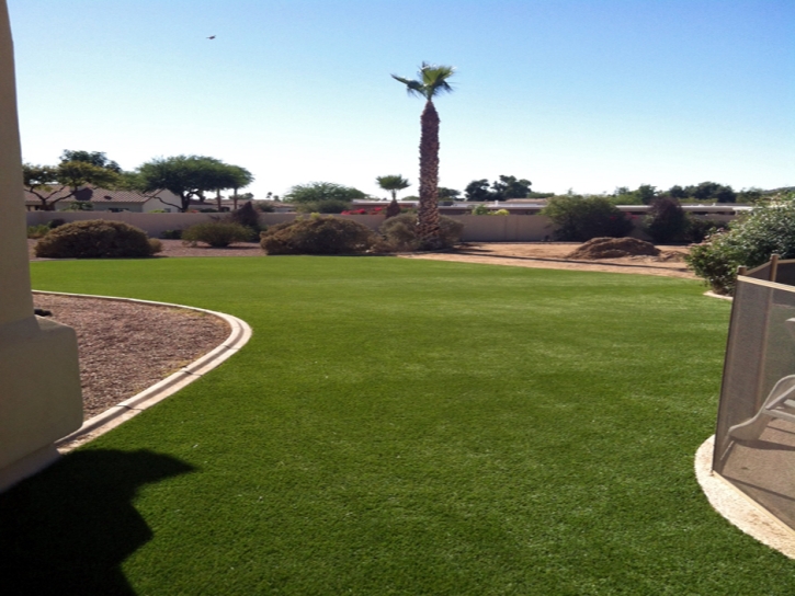 Artificial Grass Carpet Coal Creek, Colorado Backyard Playground, Backyard