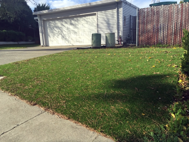 Artificial Grass Carpet Crested Butte, Colorado Landscaping, Front Yard Landscaping