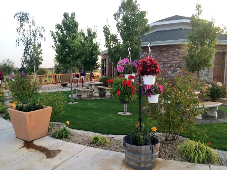 Artificial Grass Carpet Dacono, Colorado Paver Patio, Commercial Landscape