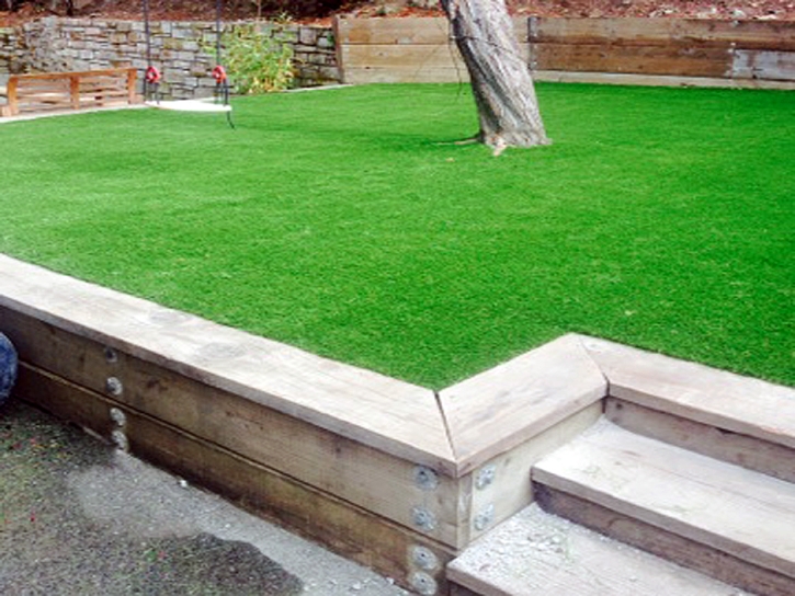 Artificial Grass Carpet Lake City, Colorado Rooftop, Backyards