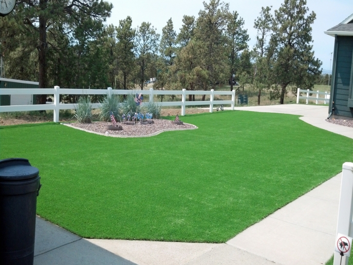 Artificial Grass Carpet Paragon Estates, Colorado Landscape Rock, Front Yard