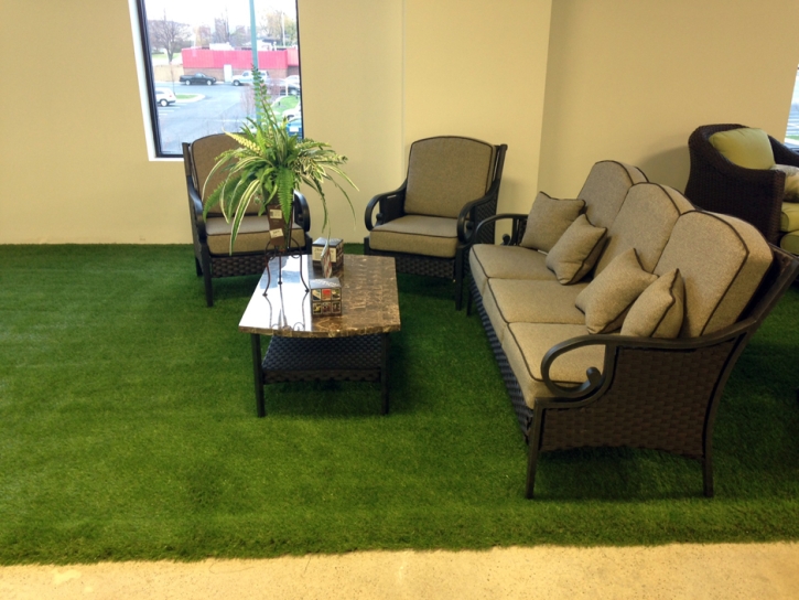 Artificial Grass Carpet Peyton, Colorado Landscape Photos, Commercial Landscape