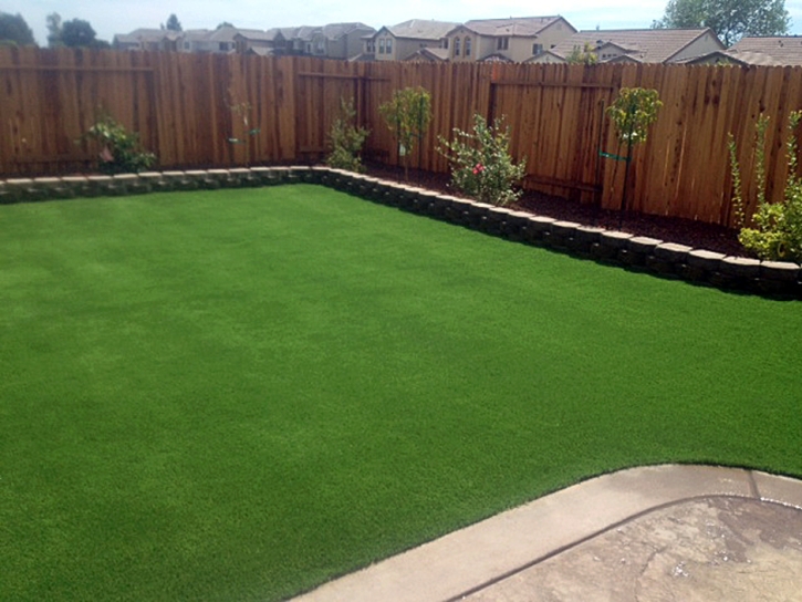 Artificial Grass Carpet Ponderosa Park, Colorado Landscaping Business, Backyard