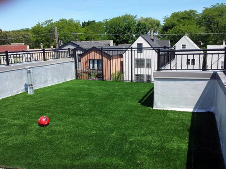 Artificial Grass Carpet Silver Plume, Colorado Pet Paradise, Roof Top