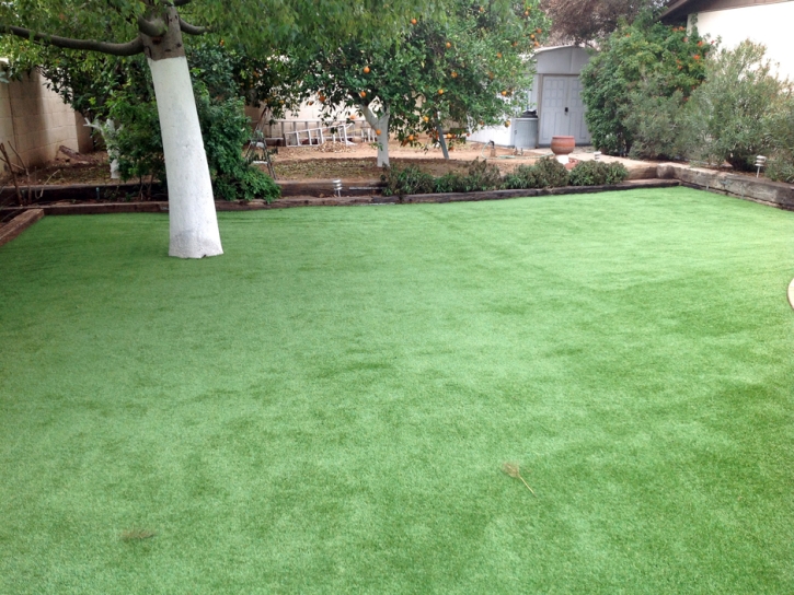 Artificial Grass Carpet Stonewall Gap, Colorado Lawn And Garden, Backyard Landscaping